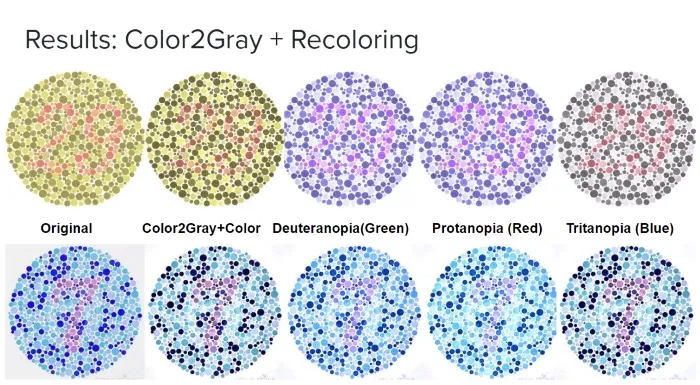 Color2Gray and Recolorer project